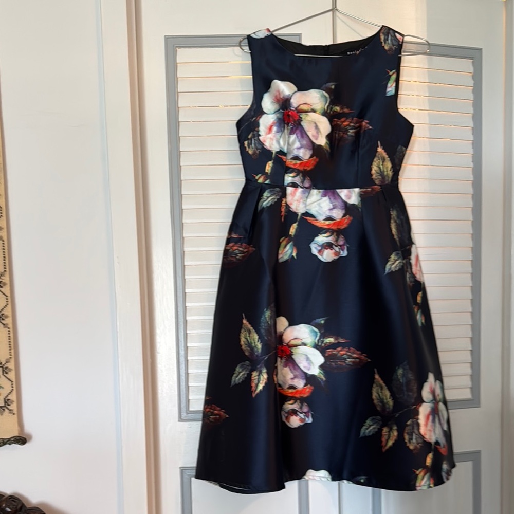 Beulah Blue and White Sleeveless A-Line Midi Dress